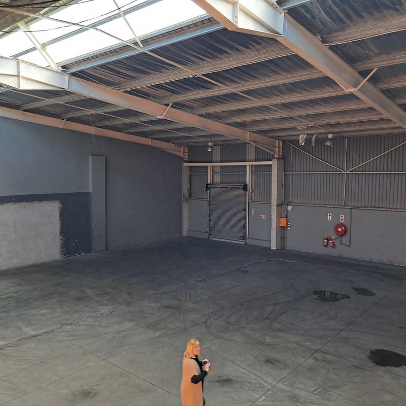 To Let commercial Property for Rent in Greenbushes Eastern Cape